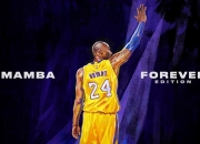 PG电子官网-利拉德时刻降临上海滩，上海队力克浙江，关键先生一锤定音