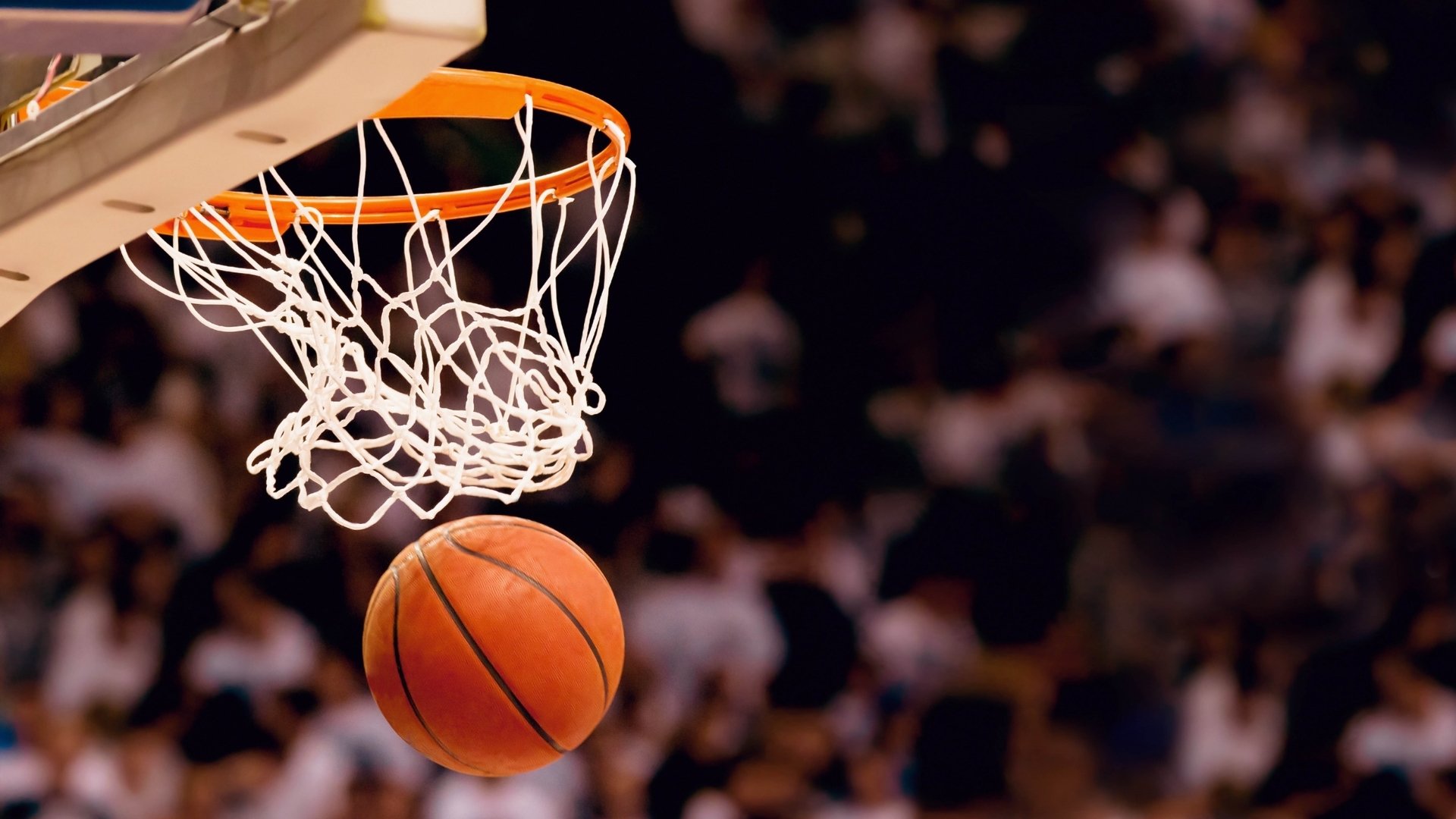 当老鹰制霸吉林，字母哥接管NBA，不同赛场的王者唯一法则